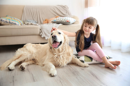 Flooring for pets in Buford, GA