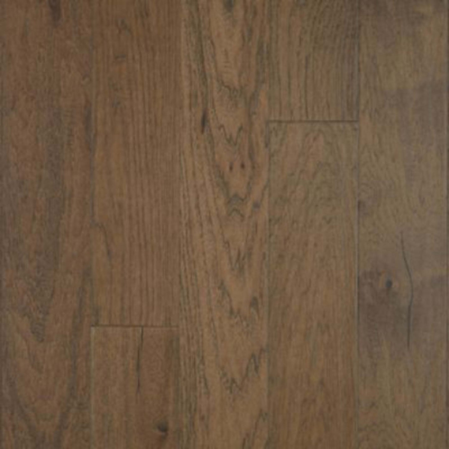 North Hills in Trail Blaze Hickory