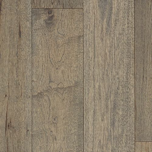 Clariden in Elkhound Hickory