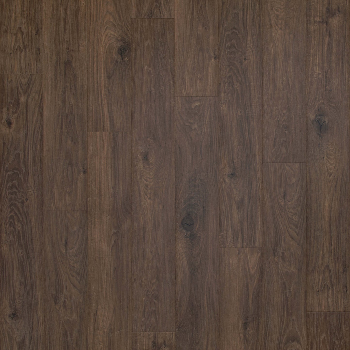 Casita Terrace in Mason Ridge Oak