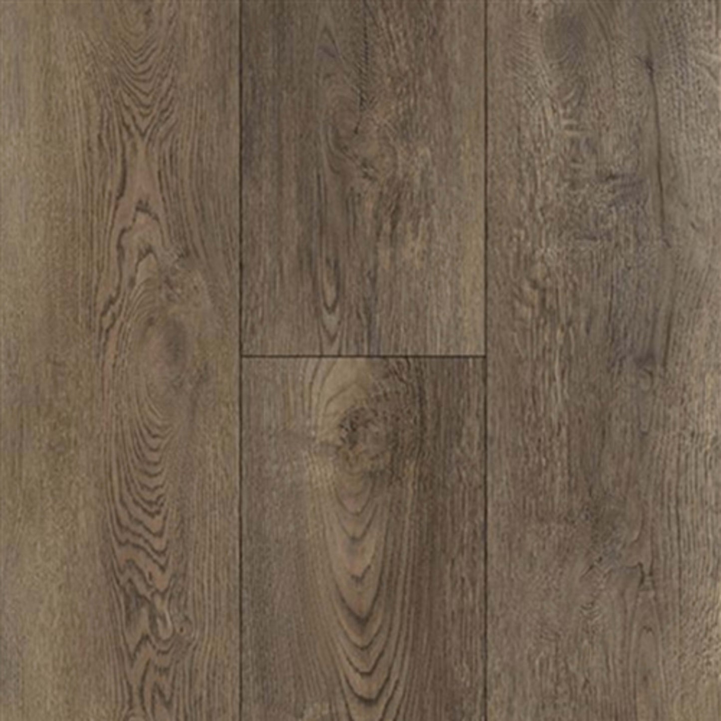 Equity Plank in Beaver