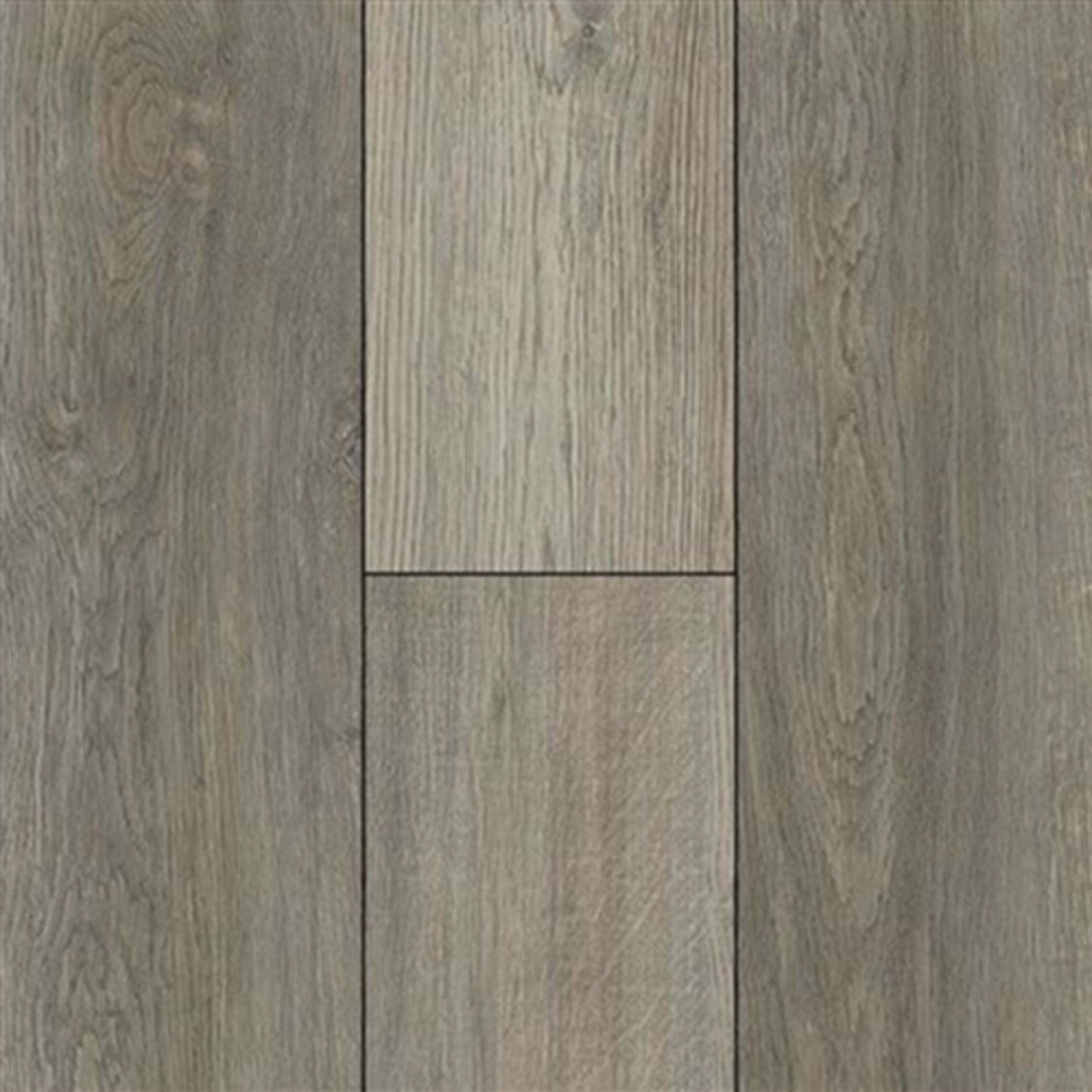 Equity Plank in Storm