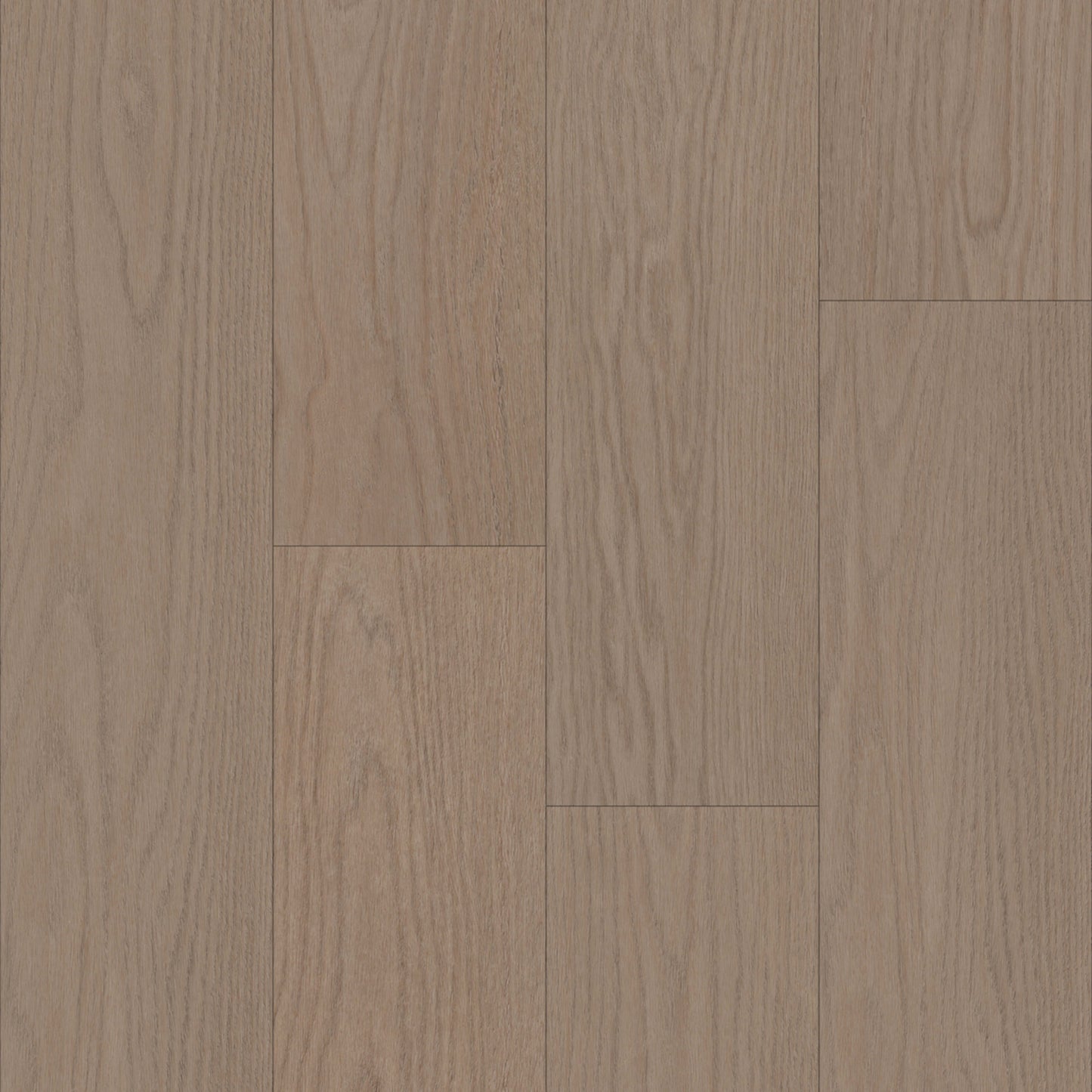 Bravo in Balian Oak