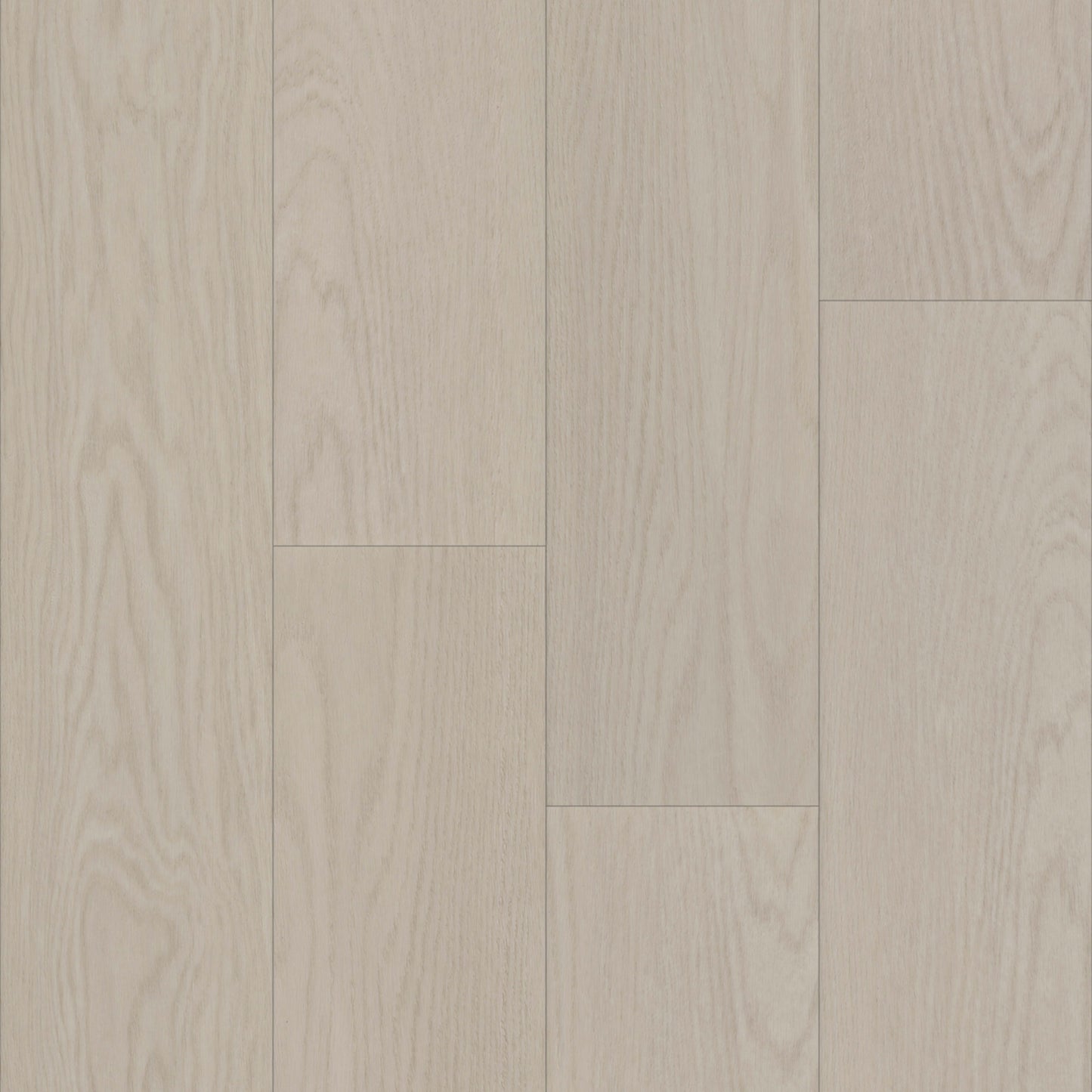 Bravo in Corba Oak