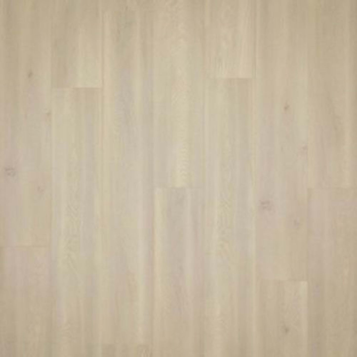 Miramar Tides in Island Sand Oak