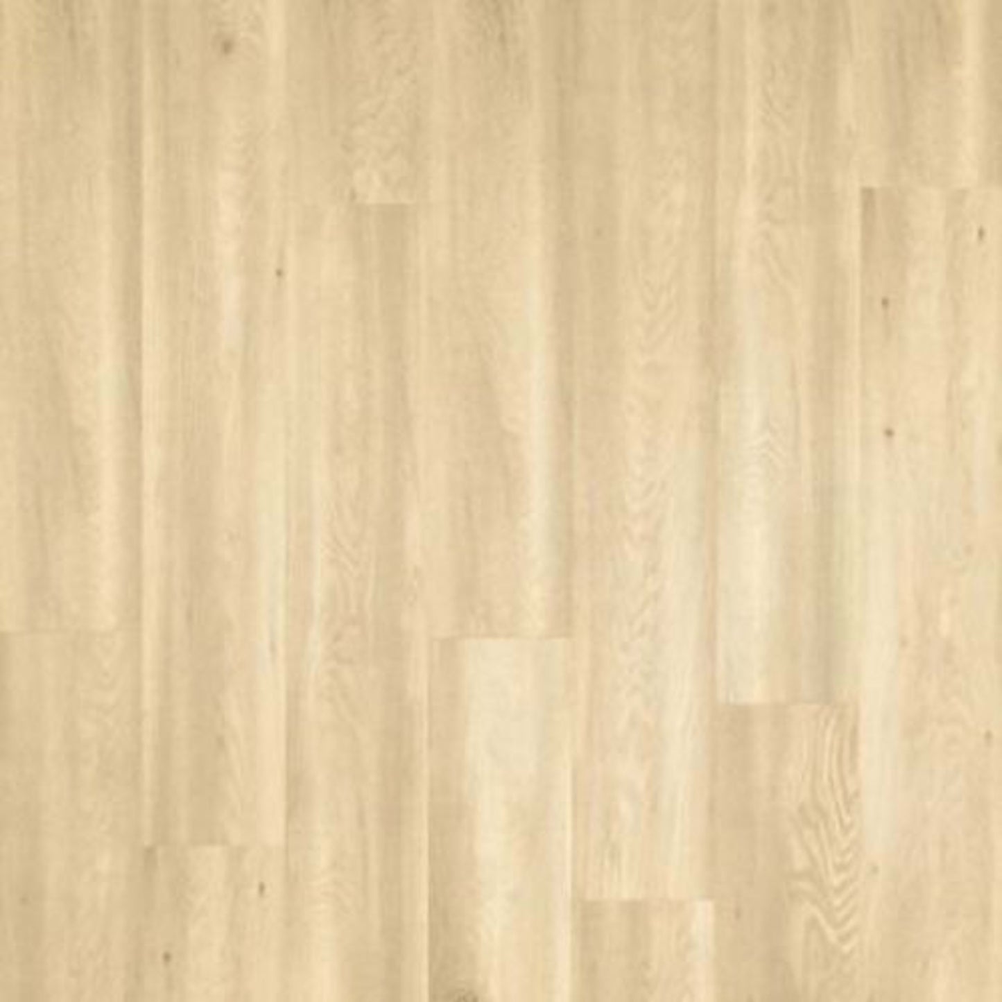 Miramar Tides in Palm Tree Oak