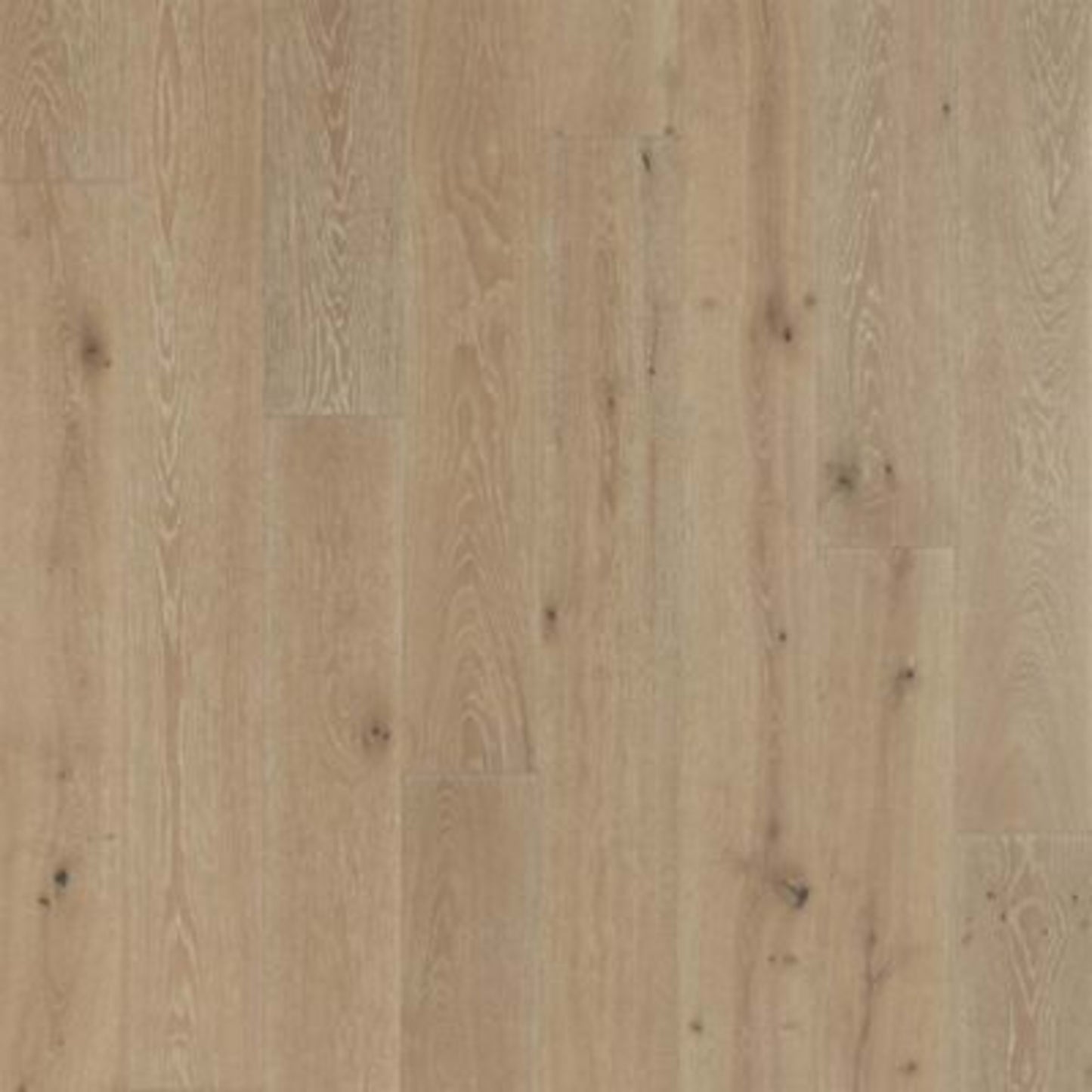 Balboa Strip in Catamaran Oak