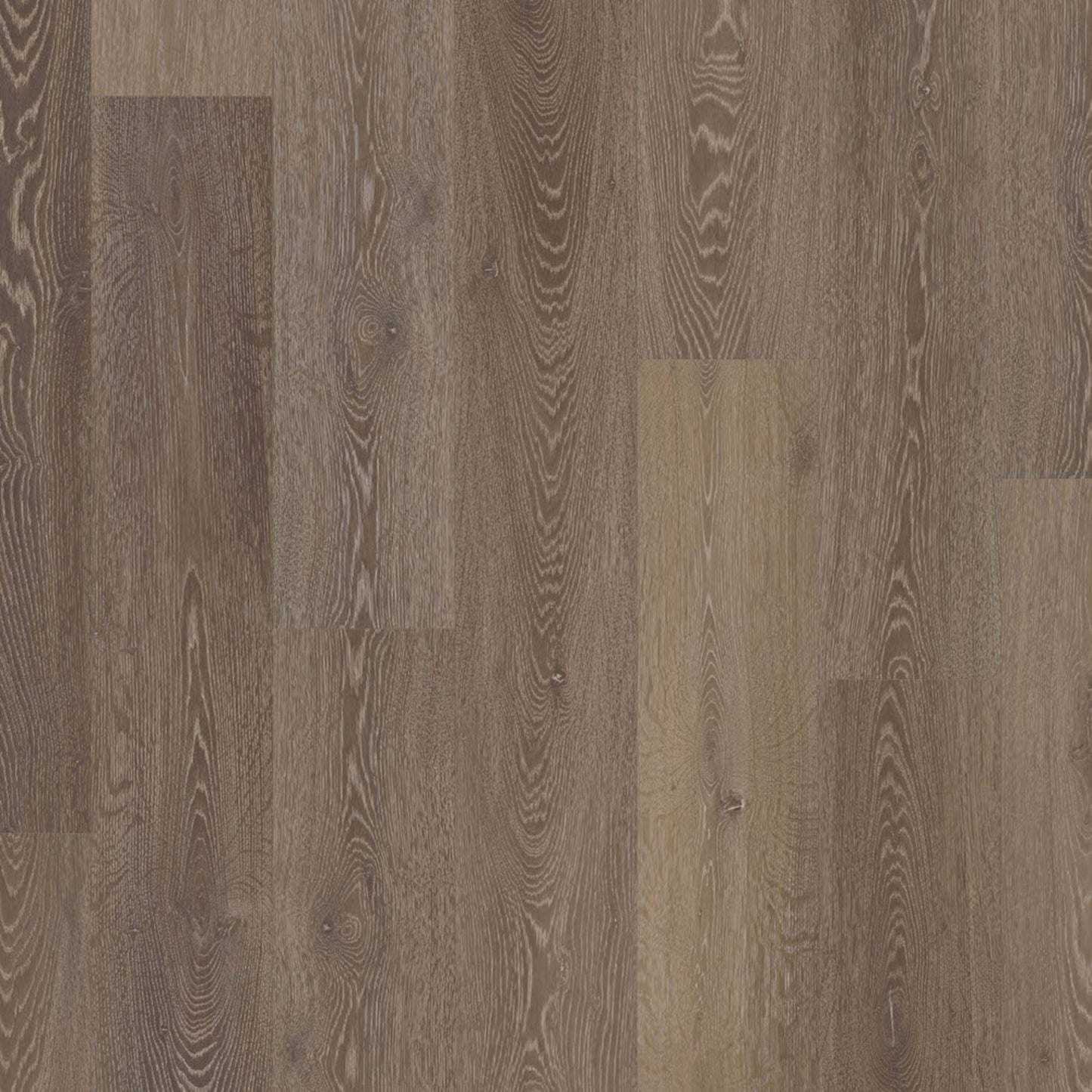 Prime XL Collection in Champagne Oak