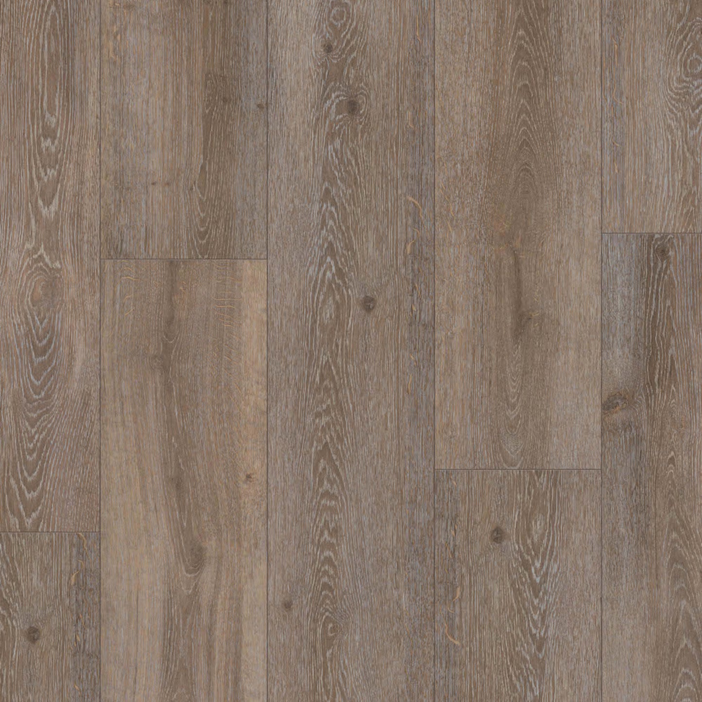 Prime XXL Collection in Cider Oak