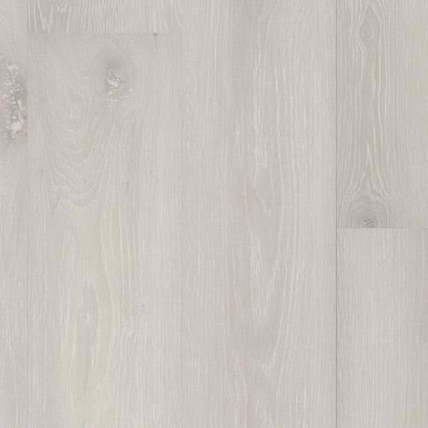 Alpha Collection in Coastal Oak
