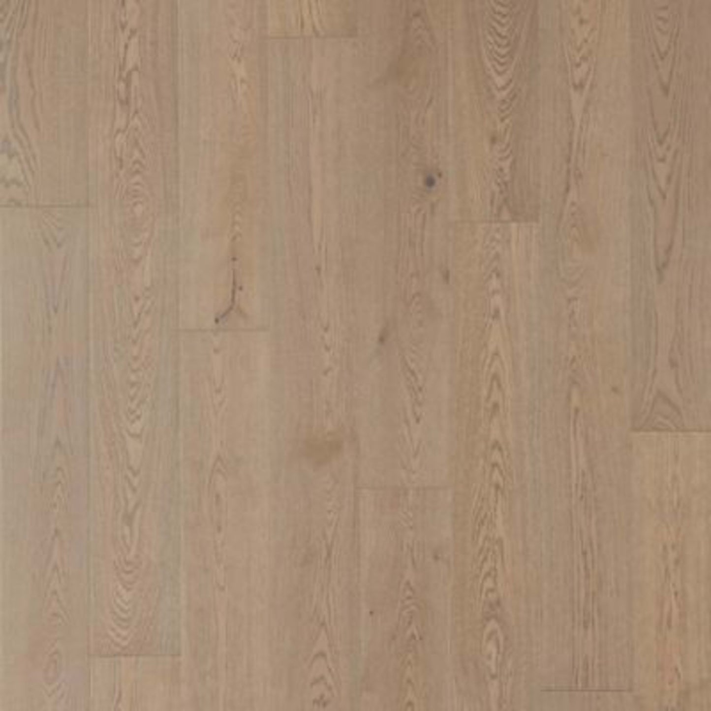 Soho Modesto in Dorian Gray Oak