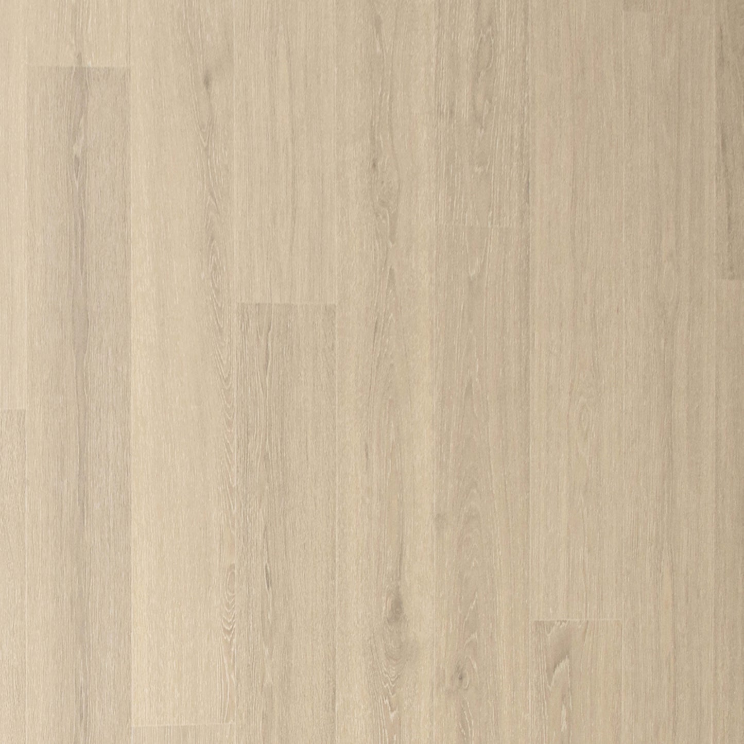Andilet in Morning Fog Oak