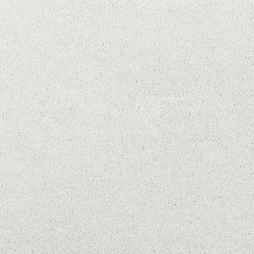Noble Surface