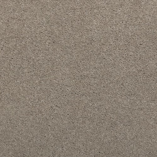 Noble Surface