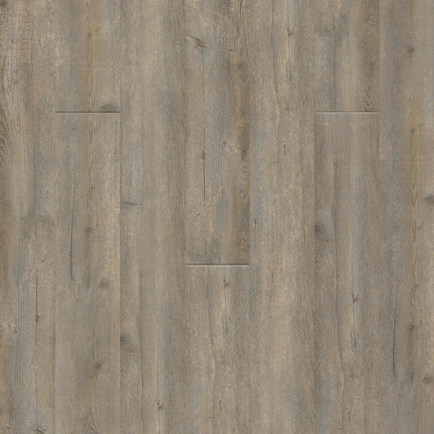 PureGrain Endure - New Standard II in Playa