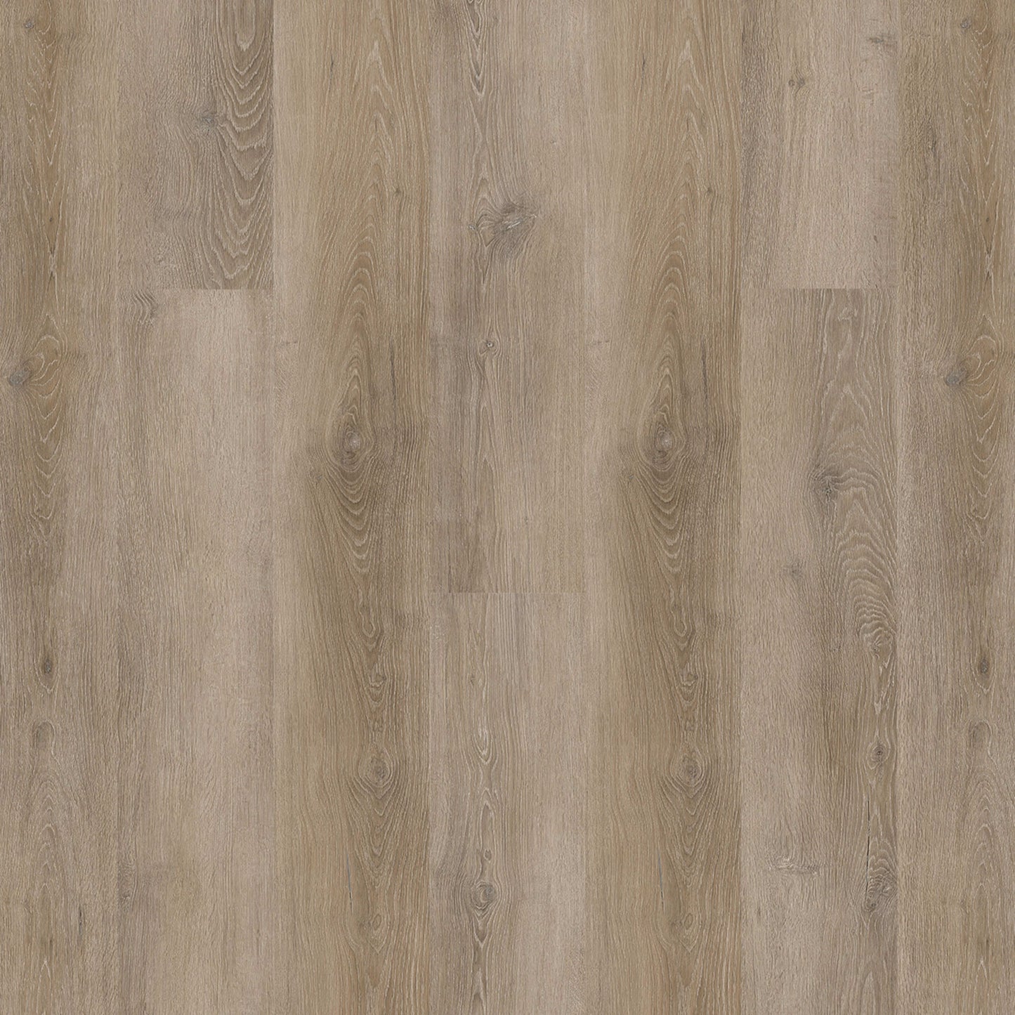PureGrain Endure - New Standard Plus in Druidstone