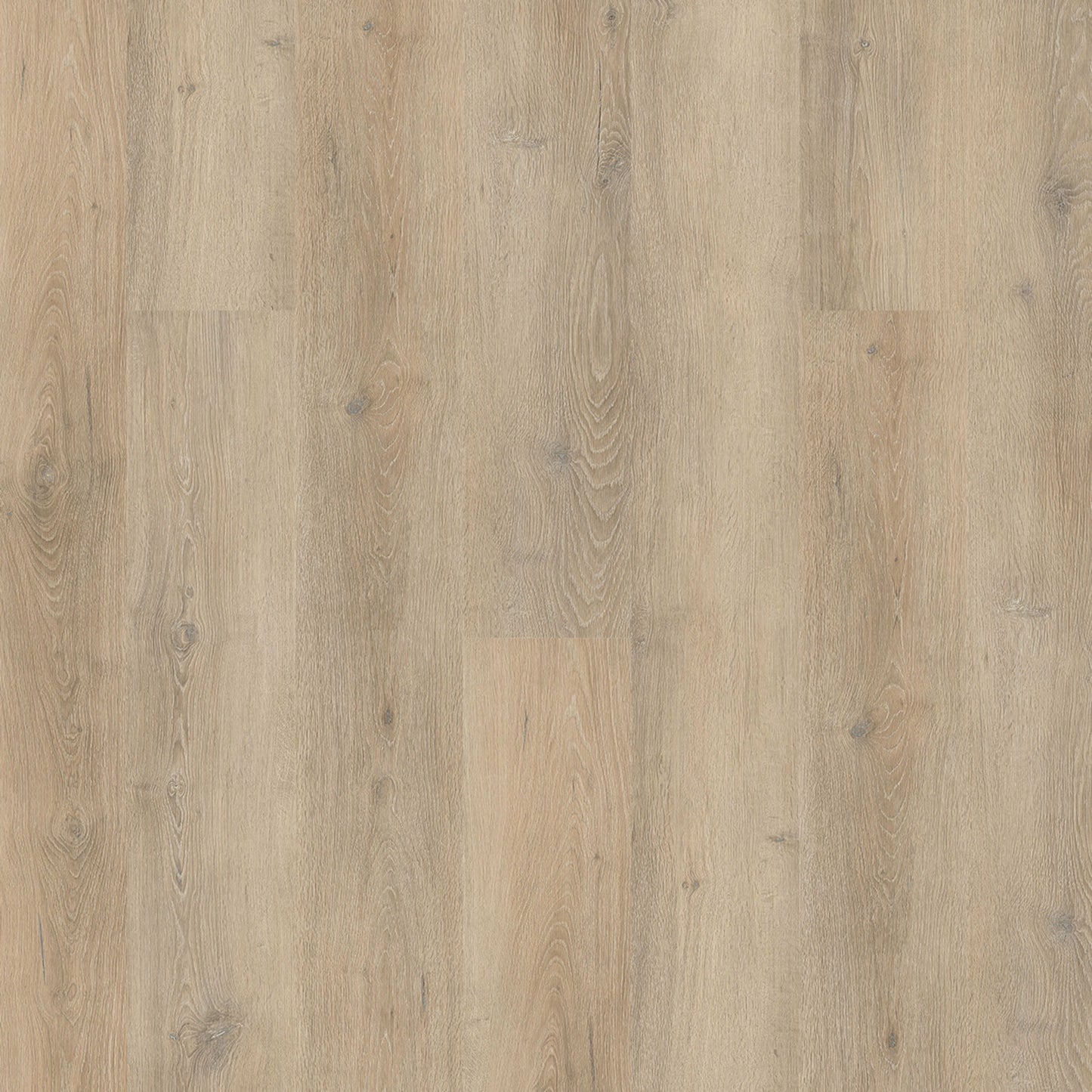 PureGrain Endure - Lifestyle in Clearwater