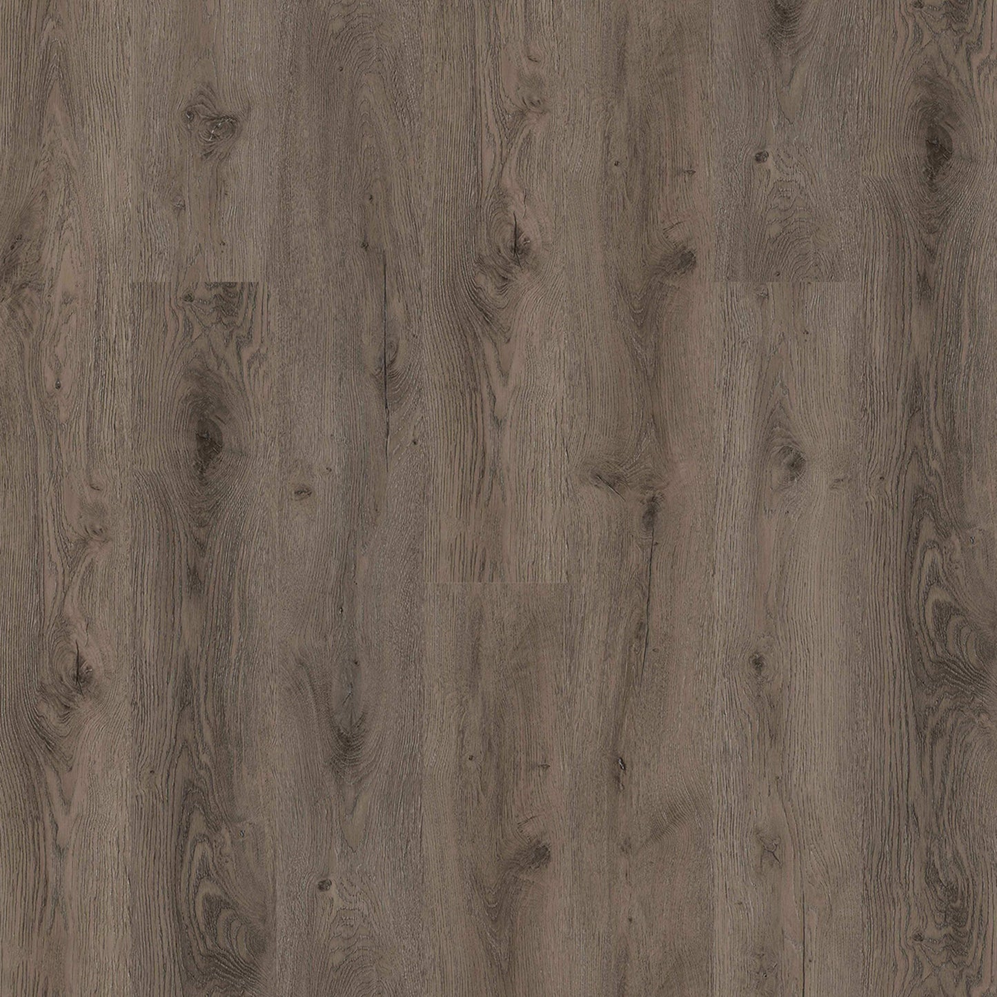 PureGrain Endure - New Standard Plus in Secret Lagoon