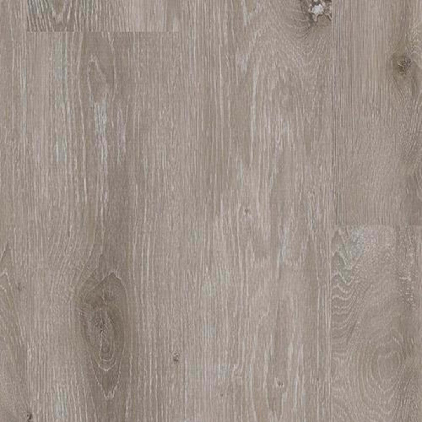 Alpha Collection in Shadow Oak