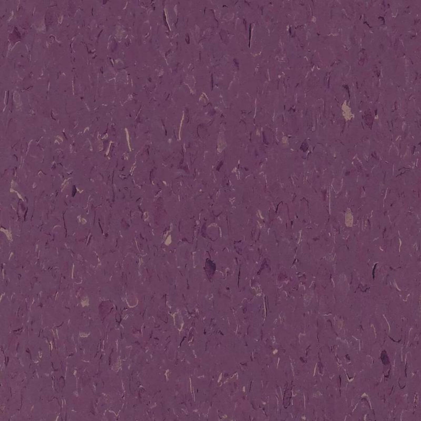 VCT II in Deep Plum