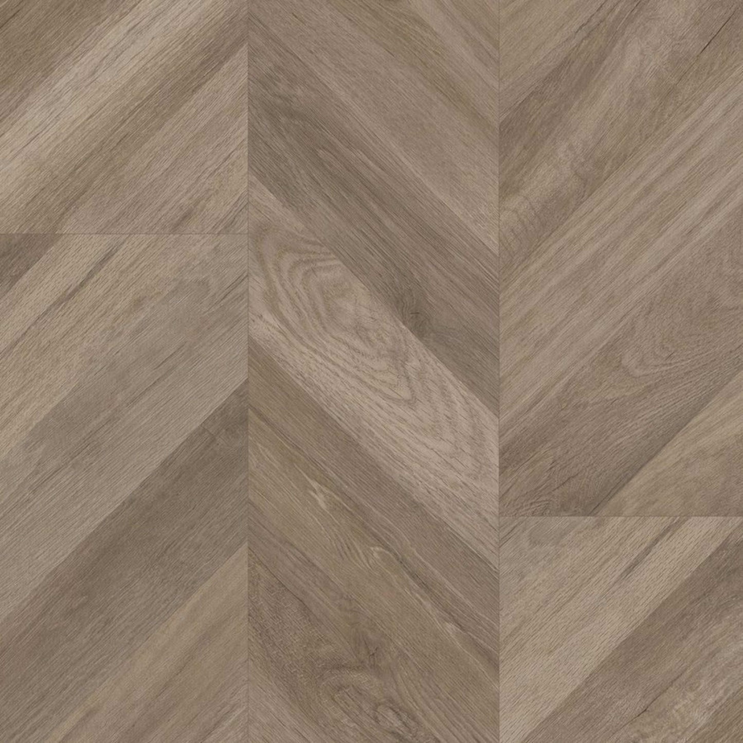 Progen in Chevron Tawny