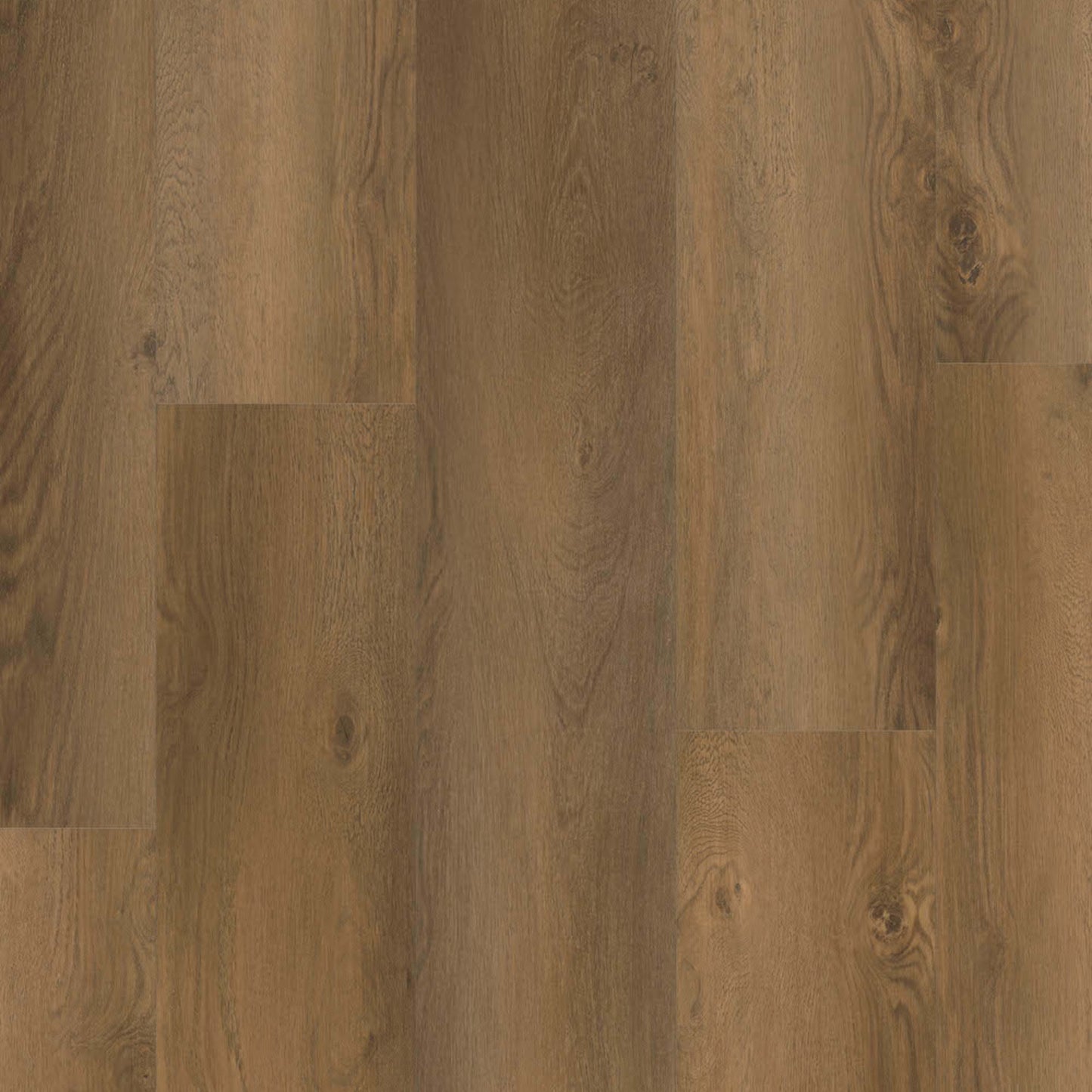 Prime XXL Collection in Verona Oak