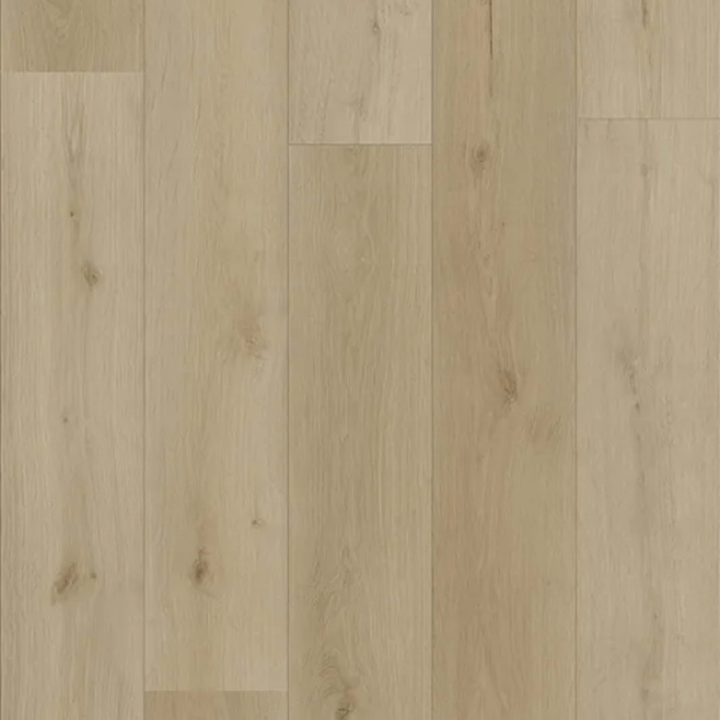 Authentic Prime in Anderson Oak