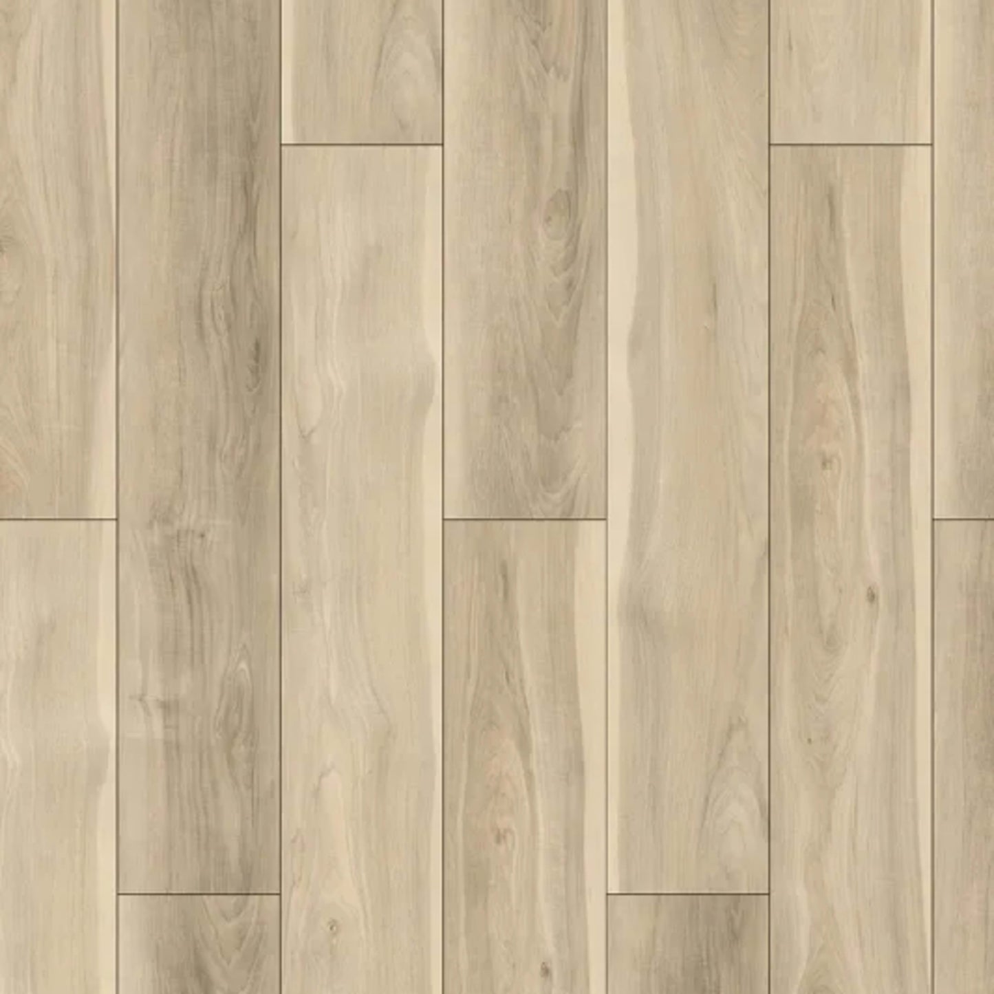 Authentic Prime in Gleason Hickory