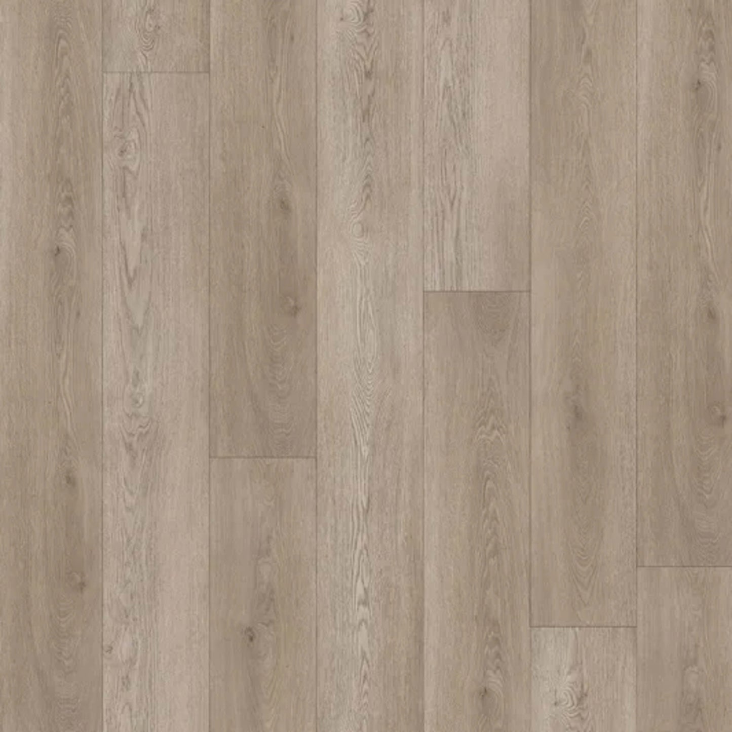 Authentic Prime in Spainwood Oak