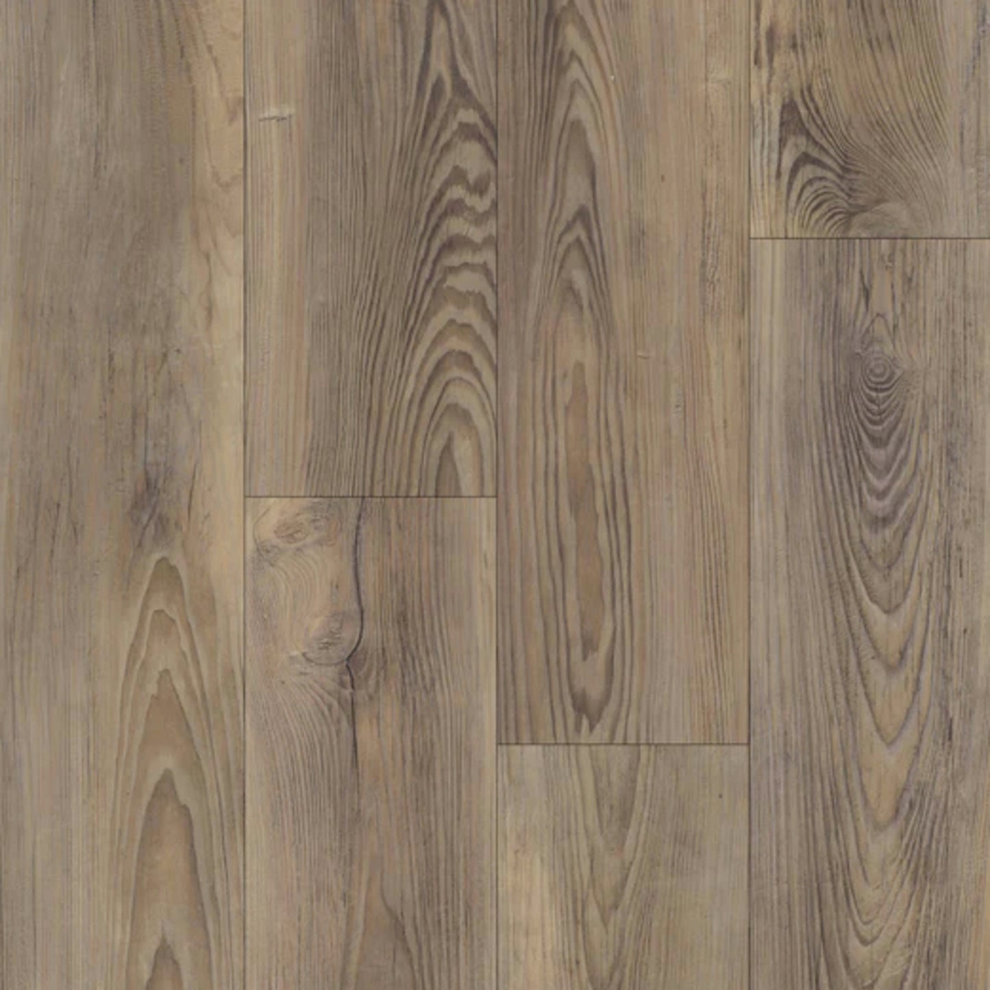 Boardwalk in Chocolate Pine