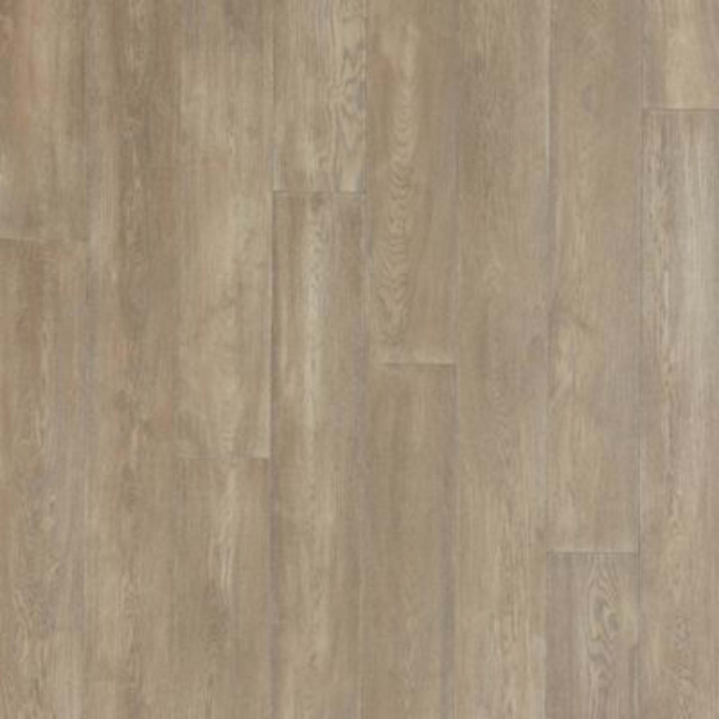 Balboa Strip in Coastal Fog Oak