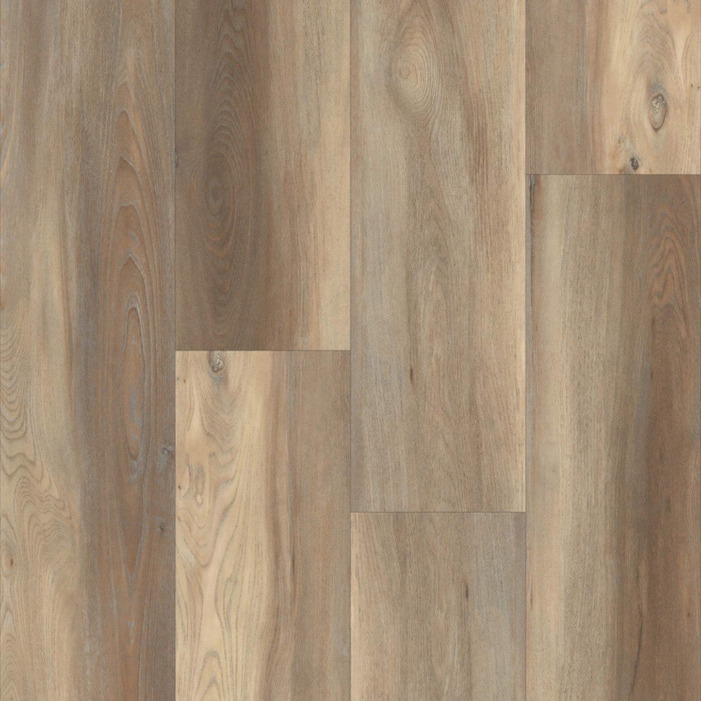 Prime Collection in Katahdin Oak