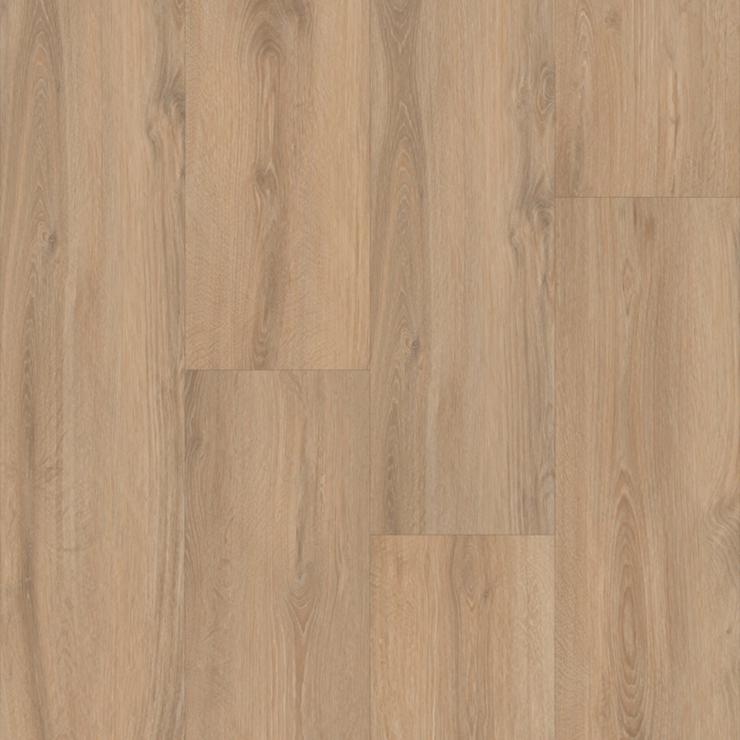 Prime XL 12 Collection in Moncton Oak