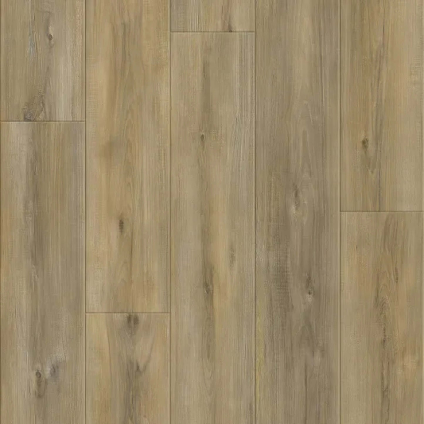 Panoramic in Amarillo Hickory