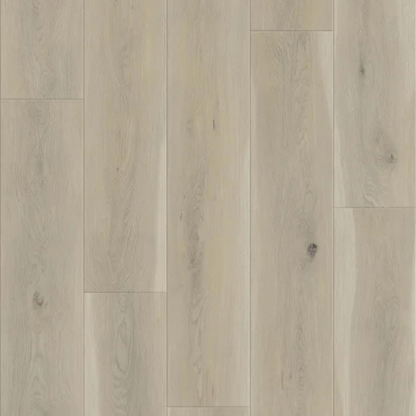 Panoramic in Heartwood Oak