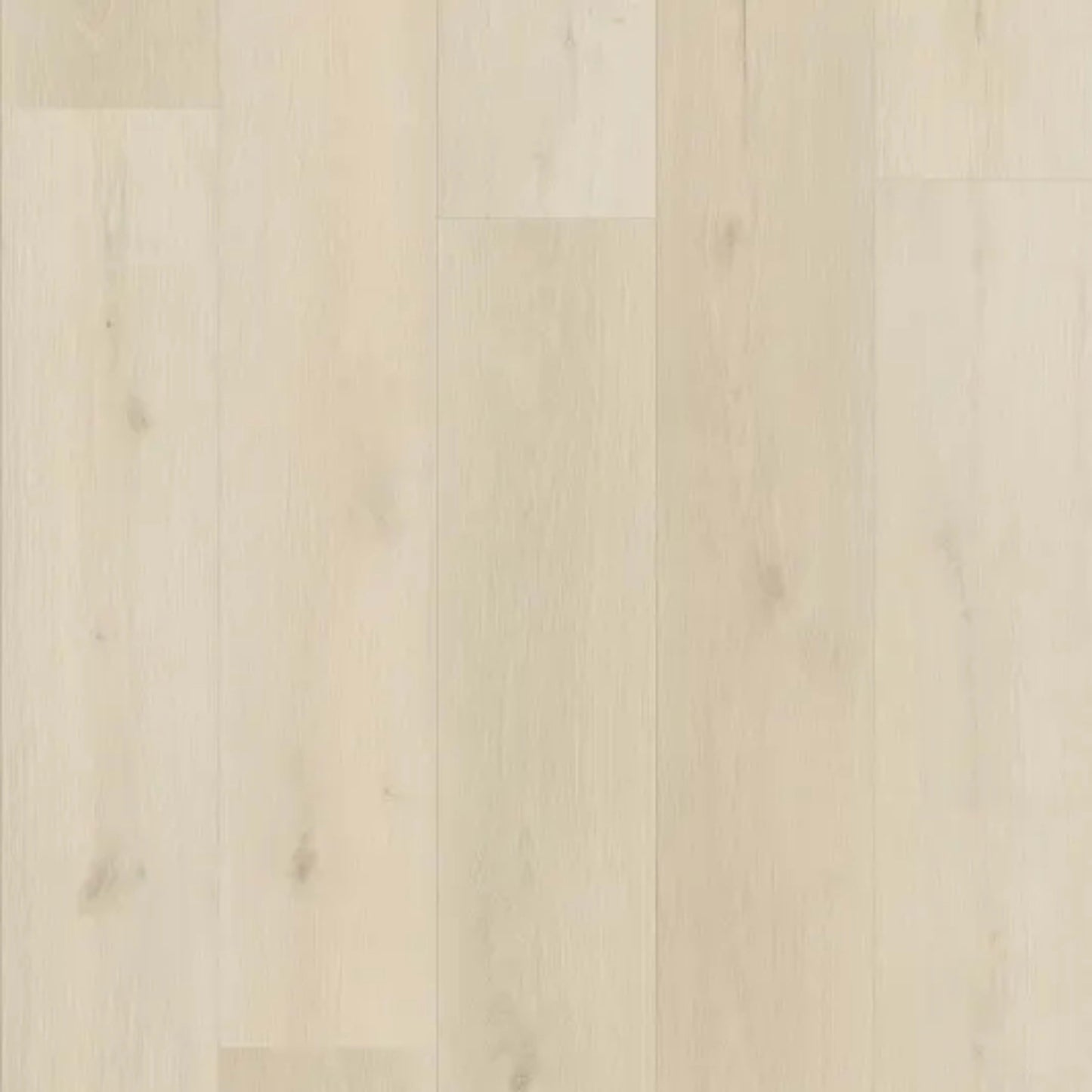 Panoramic in Linen Oak