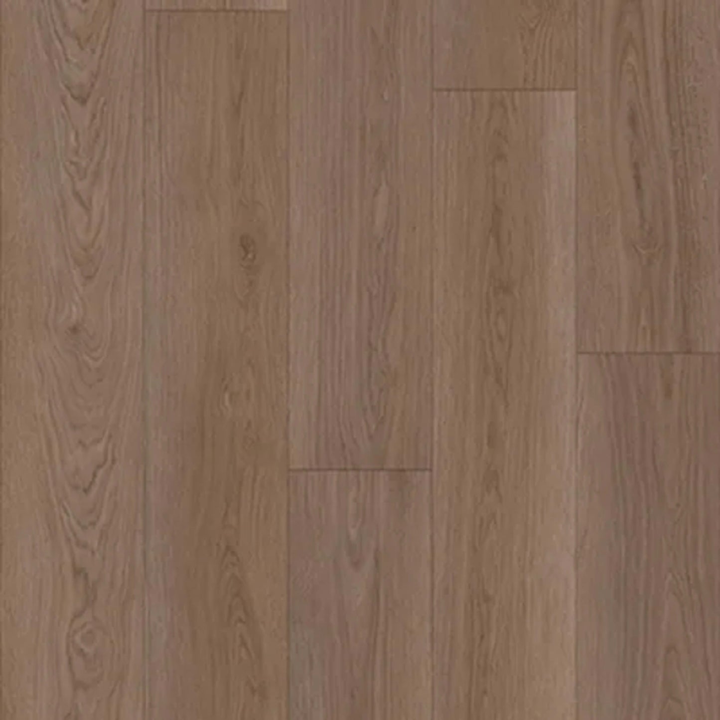 Panoramic in Tawny Oak