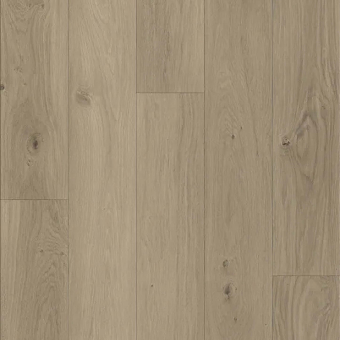 Woodwind Pressed in Cadence Oak