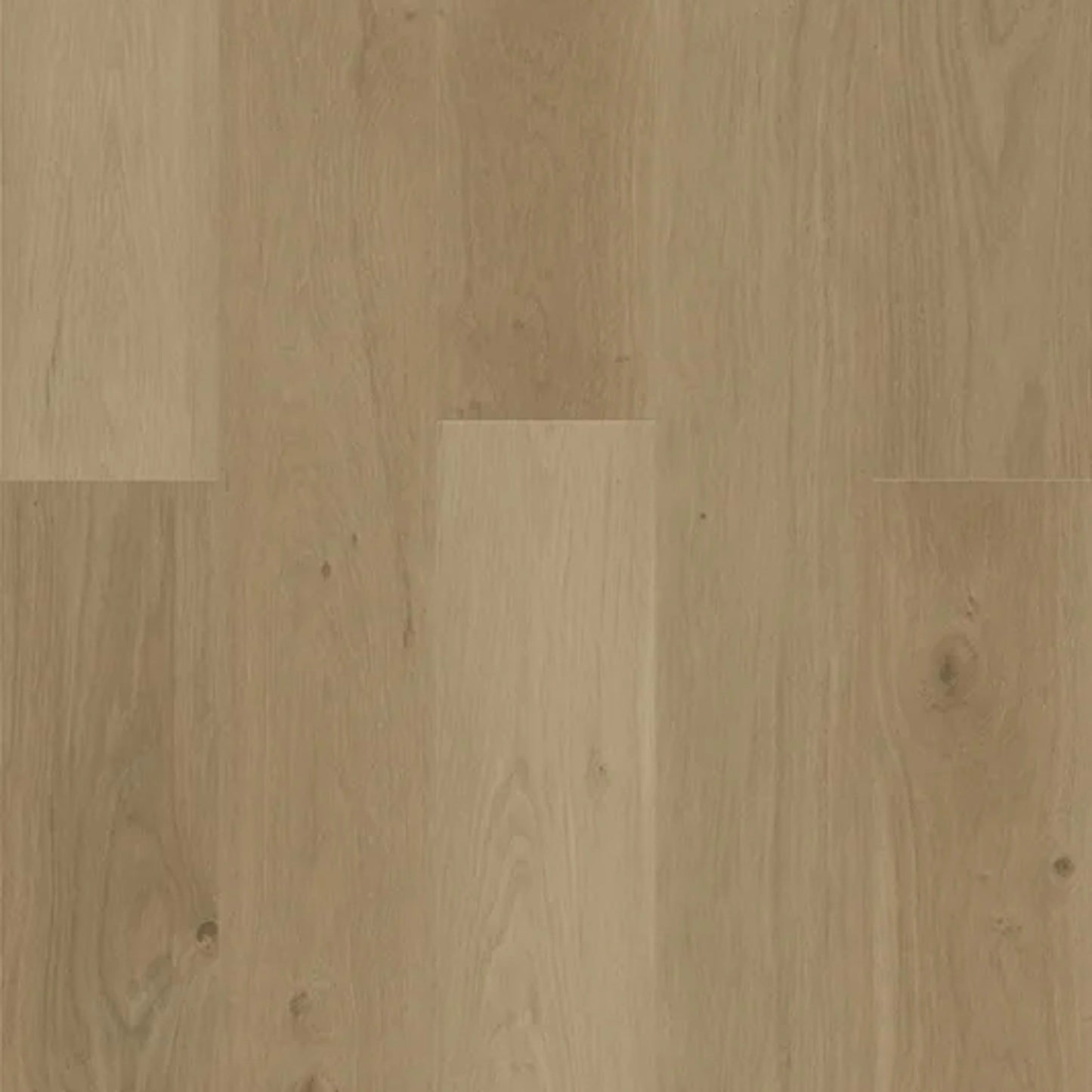 Woodwind Pressed in Echo Oak