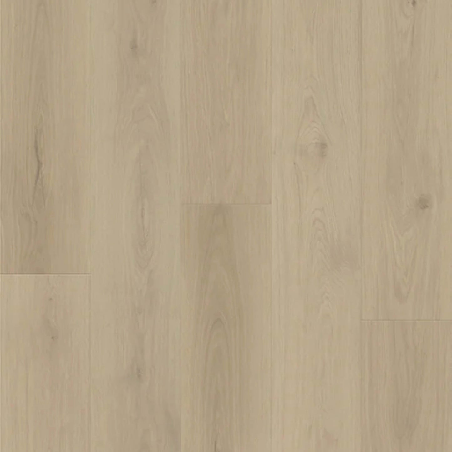 Woodwind Pressed in Melody Oak