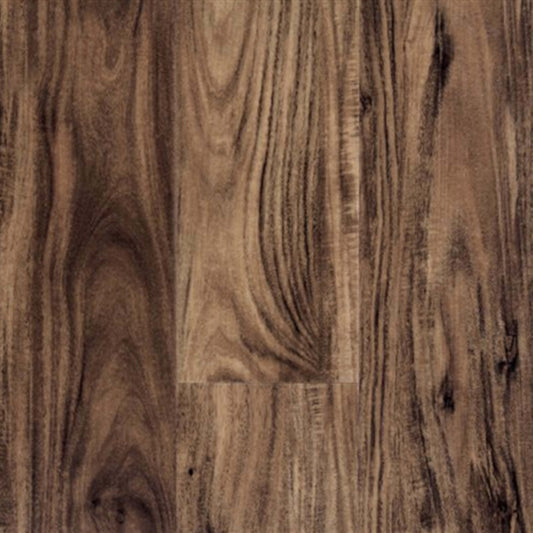 Timeless Plank in Sierra