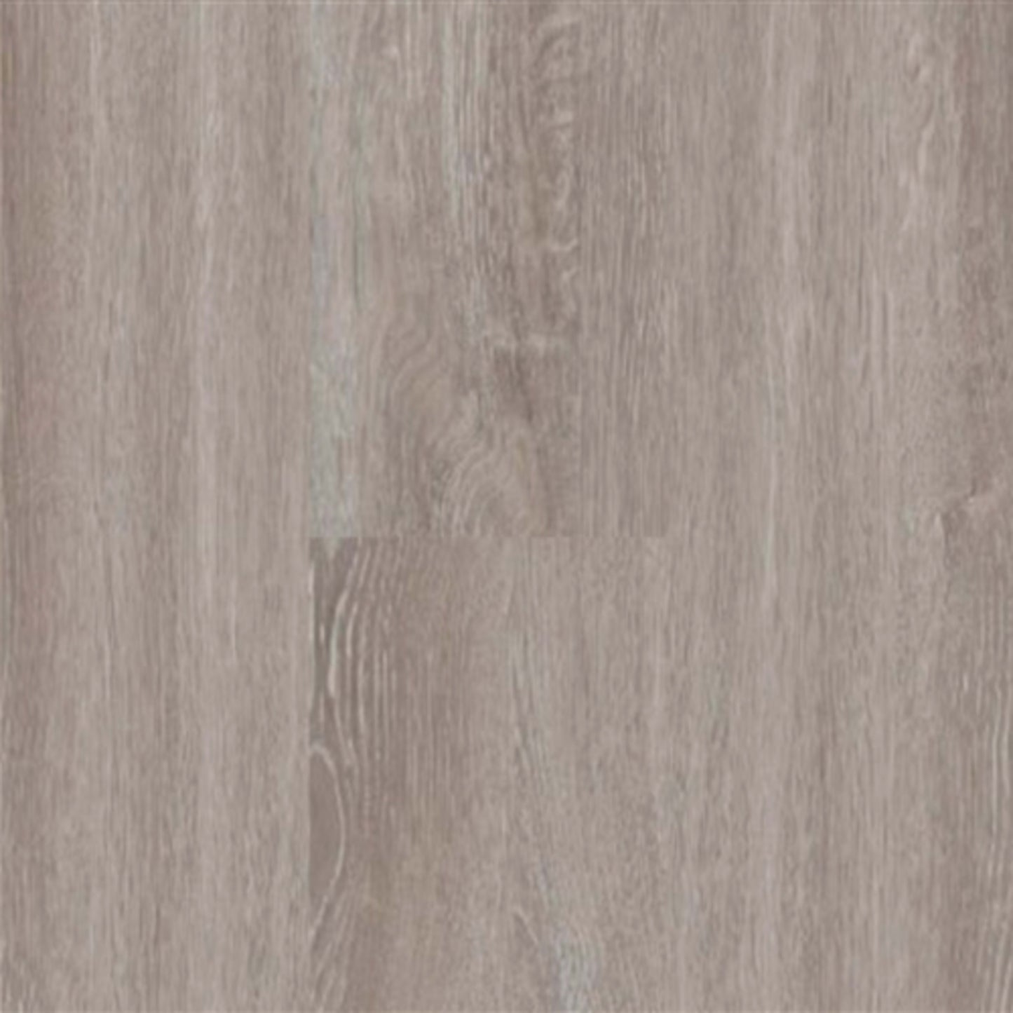 Timeless Plank in Timeless