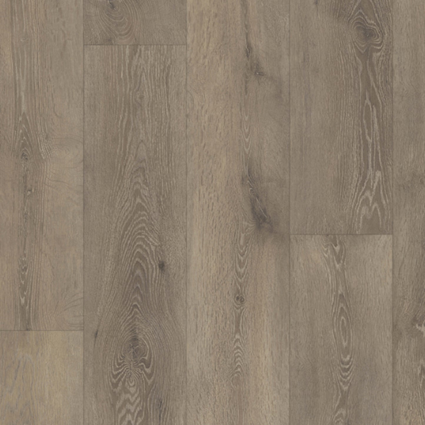 LifeProtect 12 in Keystone