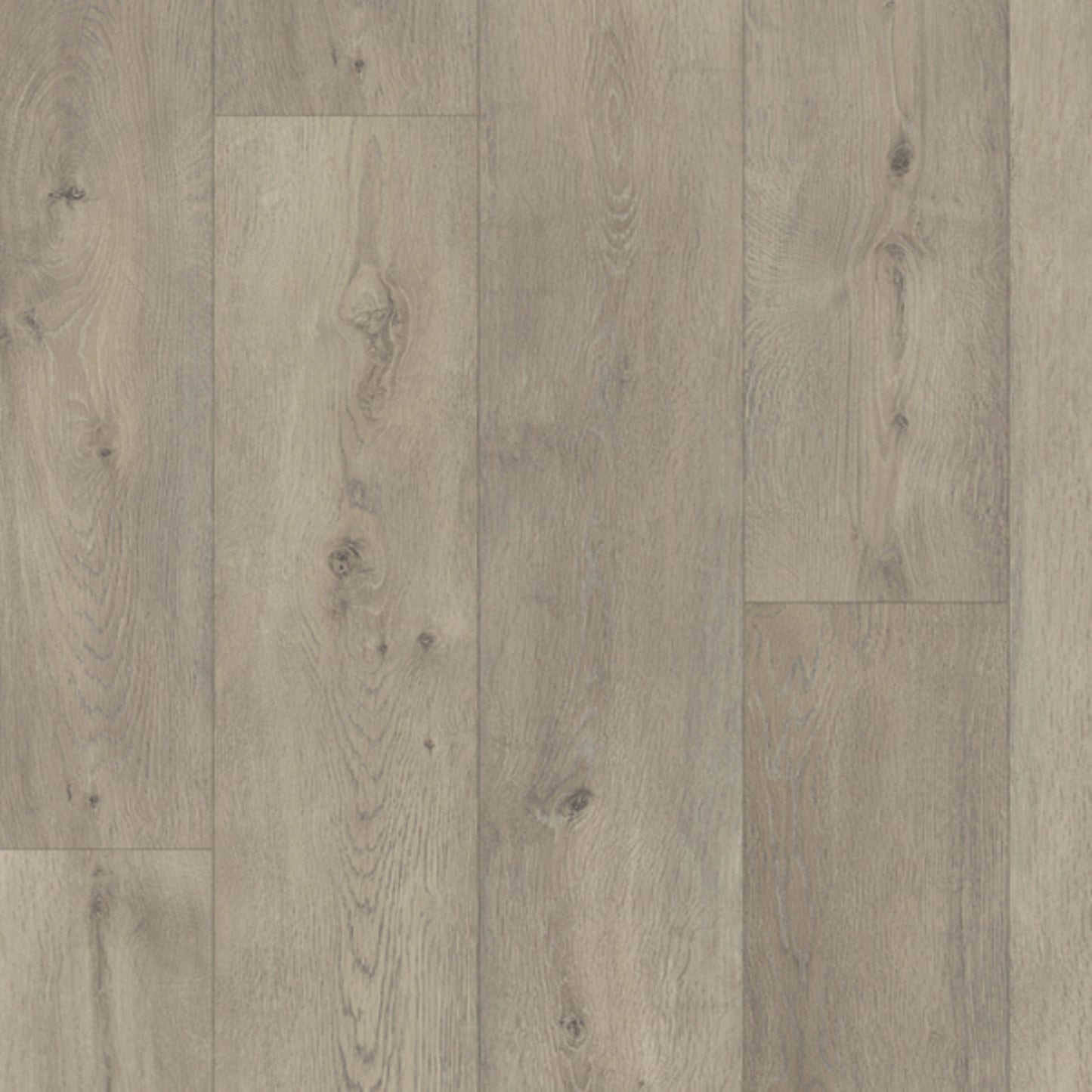 LifeProtect 12 in Beavercreek