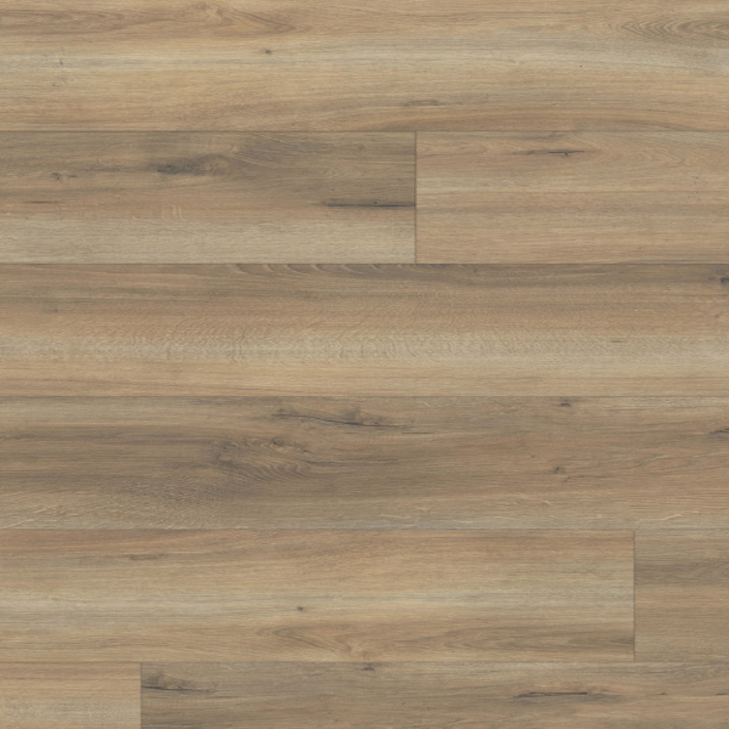 LifeProtect 12 in Echo