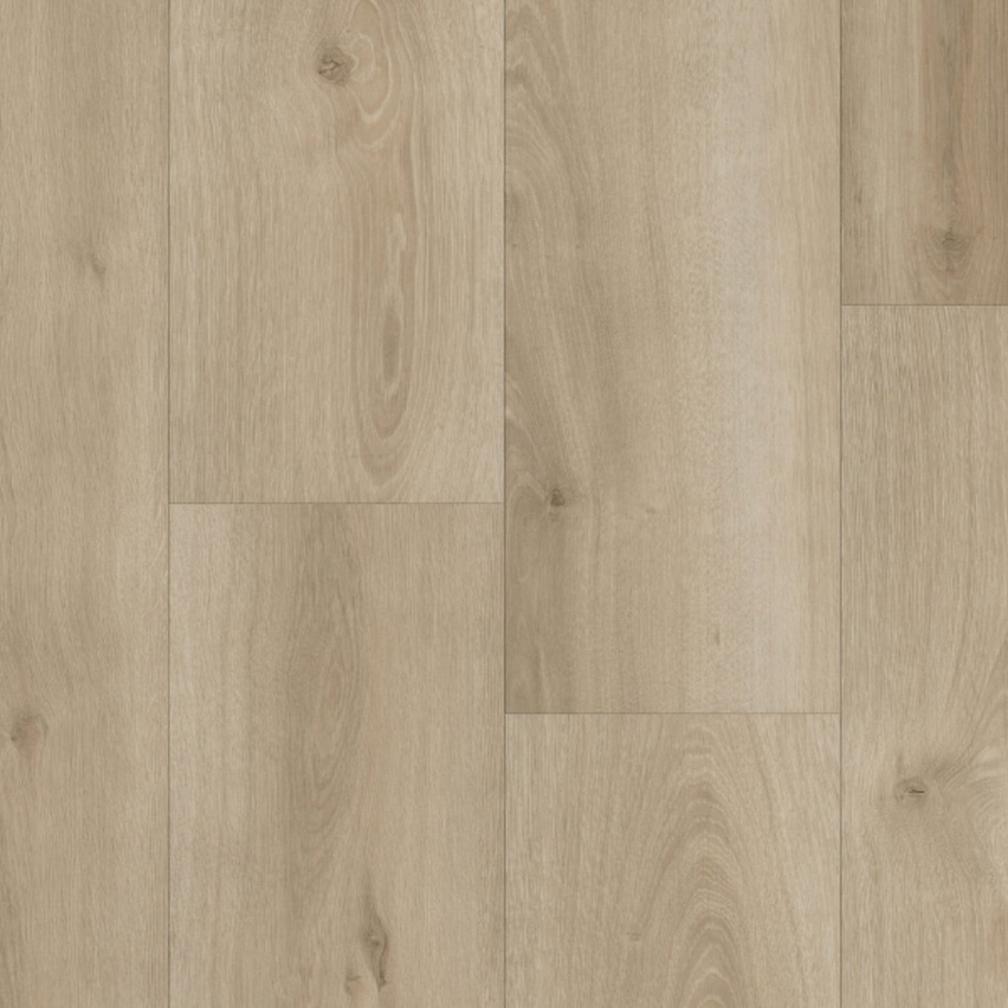 LifeProtect 10 in Yellowstone