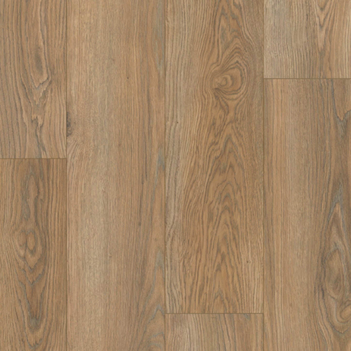 LifeProtect 12 in Forge