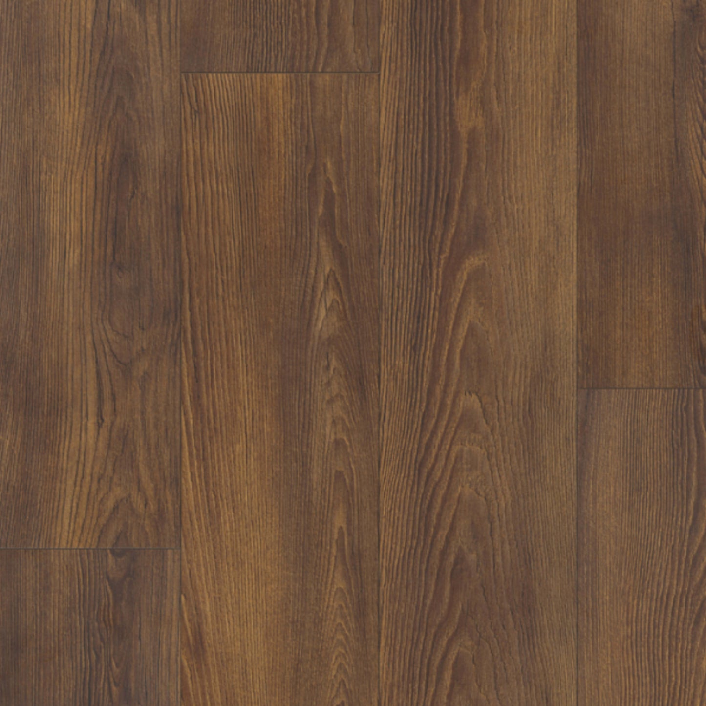 LifeProtect 12 in Veletta