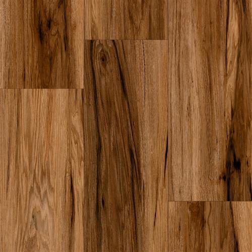 Progen in Spicebark Hickory Comino