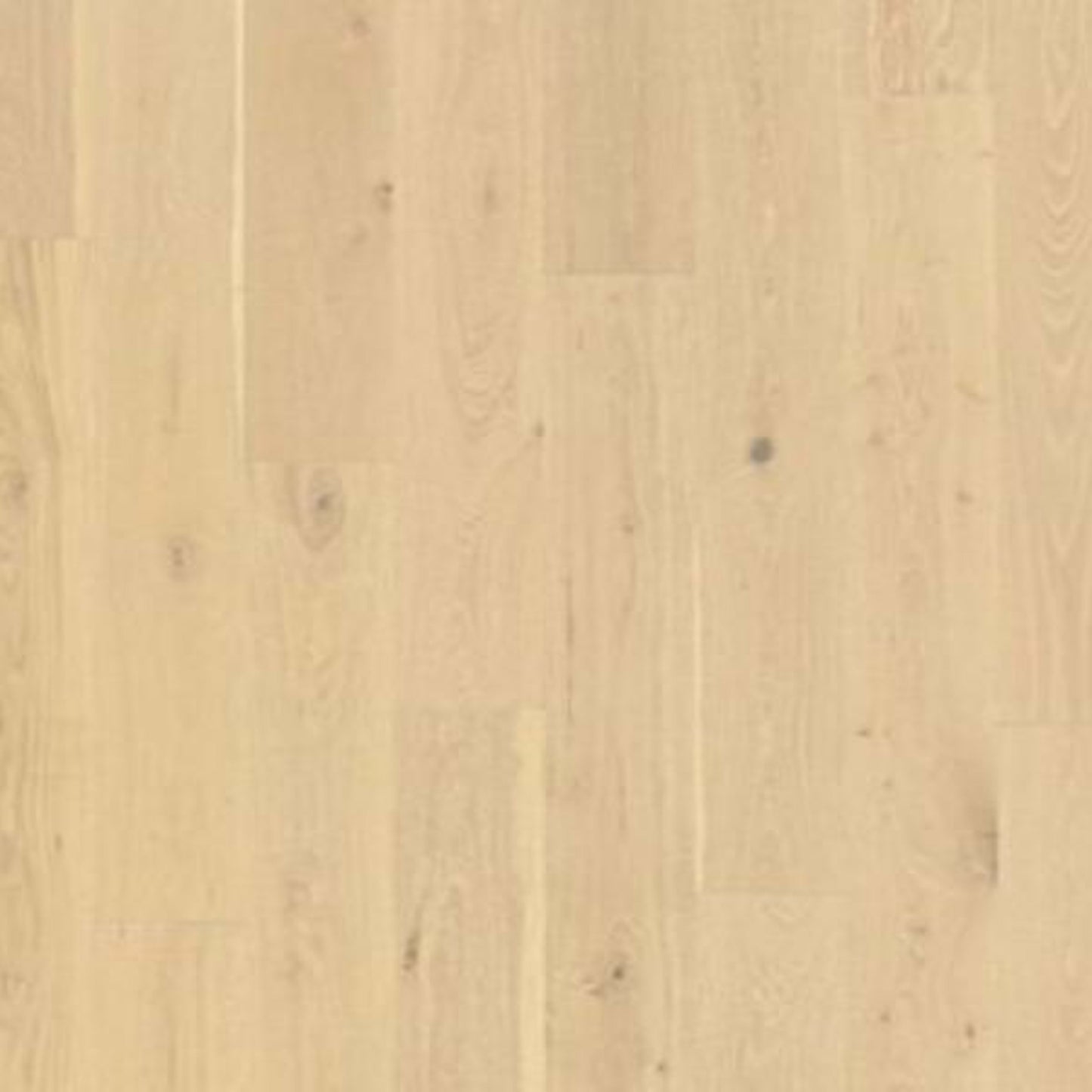 Collington in Corked Oak